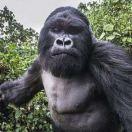 酱68167的个人资料头像