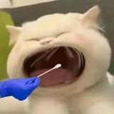 liujie735头像