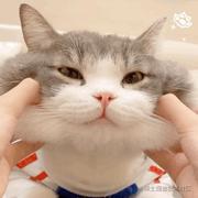 用户1518101824001的个人资料头像