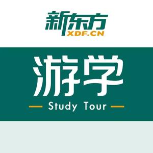 新东方游学头像