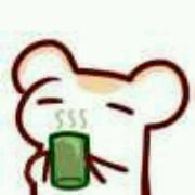 节操机的个人资料头像