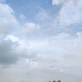 阅已不懂车头像