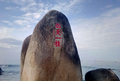 用户3990111025587头像