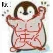 今夜太冷不宜私奔丶的个人资料头像