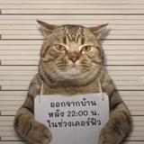 爱过你闺蜜头像