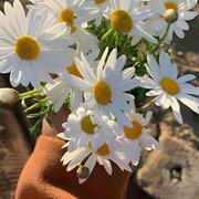 真不想上班的个人资料头像