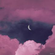 AluLia的个人资料头像