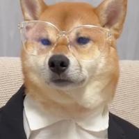 梦想成为靓仔头像