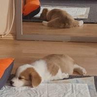 用户9059347710940头像
