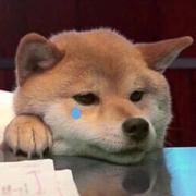 用户8125776250278的个人资料头像