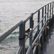 wangC的个人资料头像