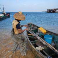 海的孩子所以浪浪浪头像