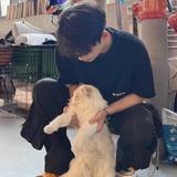智慧葡萄qJ2头像