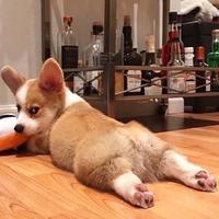 时间策划者头像