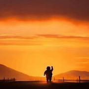 在路上晖的个人资料头像