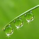 paddy1917的个人资料头像