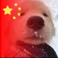 字里行间382头像