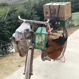 rz安头像