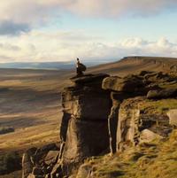 傲慢与偏见868头像