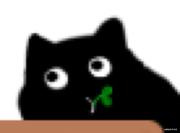 slfk的个人资料头像