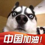 威武大奇哥头像