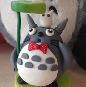 看不到脚趾头的龙猫的个人资料头像