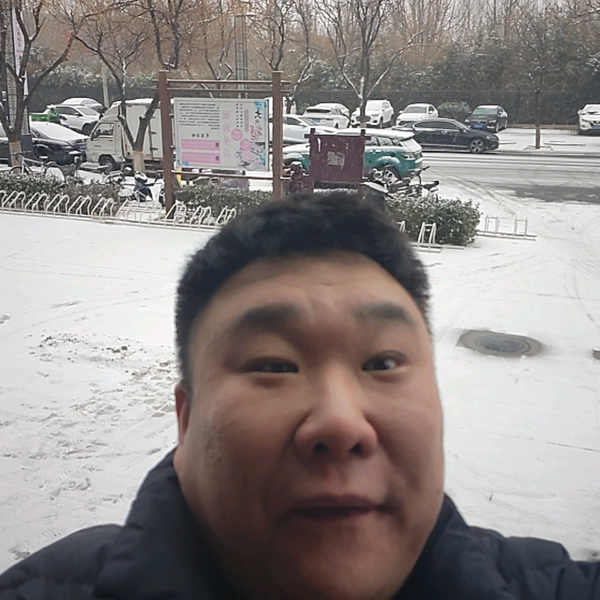 北京猫霸儿头像