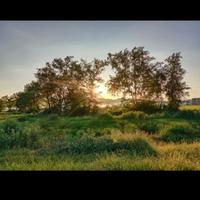 用户5725998692902头像