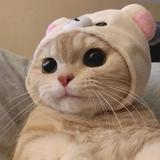 不期而遇7845988833689头像