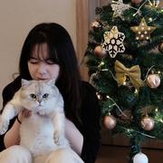 NQ458的个人资料头像