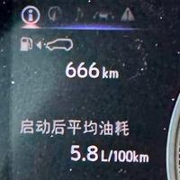 爱打羽毛球183头像