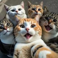 喔热烈的马头像