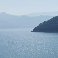 大气暖阳kmn头像