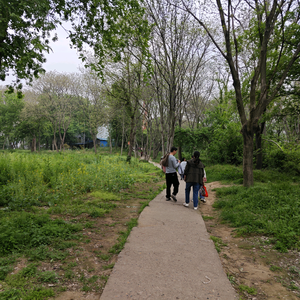 蒋从明朋友圈头像