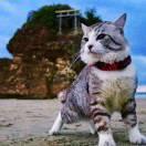 TOM同志108036的个人资料头像