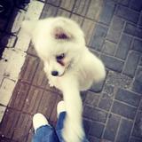 用户7264557564头像