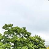 修身养行612头像