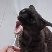 YepKeeping的个人资料头像