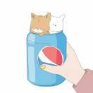 影子下的光的个人资料头像