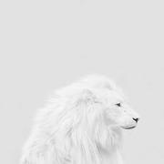 甜甜的个人资料头像