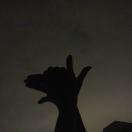 gogo_rer的个人资料头像