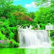 程高峰忠信电脑的个人资料头像