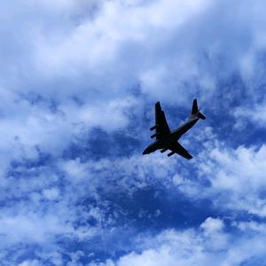 ZY体育之家头像