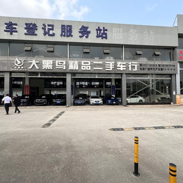 北湖广隆大黑鸟名车头像