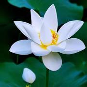 用户5148210914871的个人资料头像