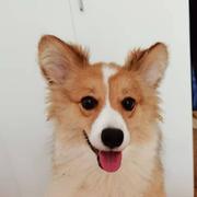 用户2812975205638的个人资料头像