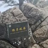 贰零零捌叁头像