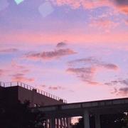 顽张的个人资料头像