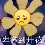小说阅读记头像