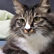 阿源165的个人资料头像